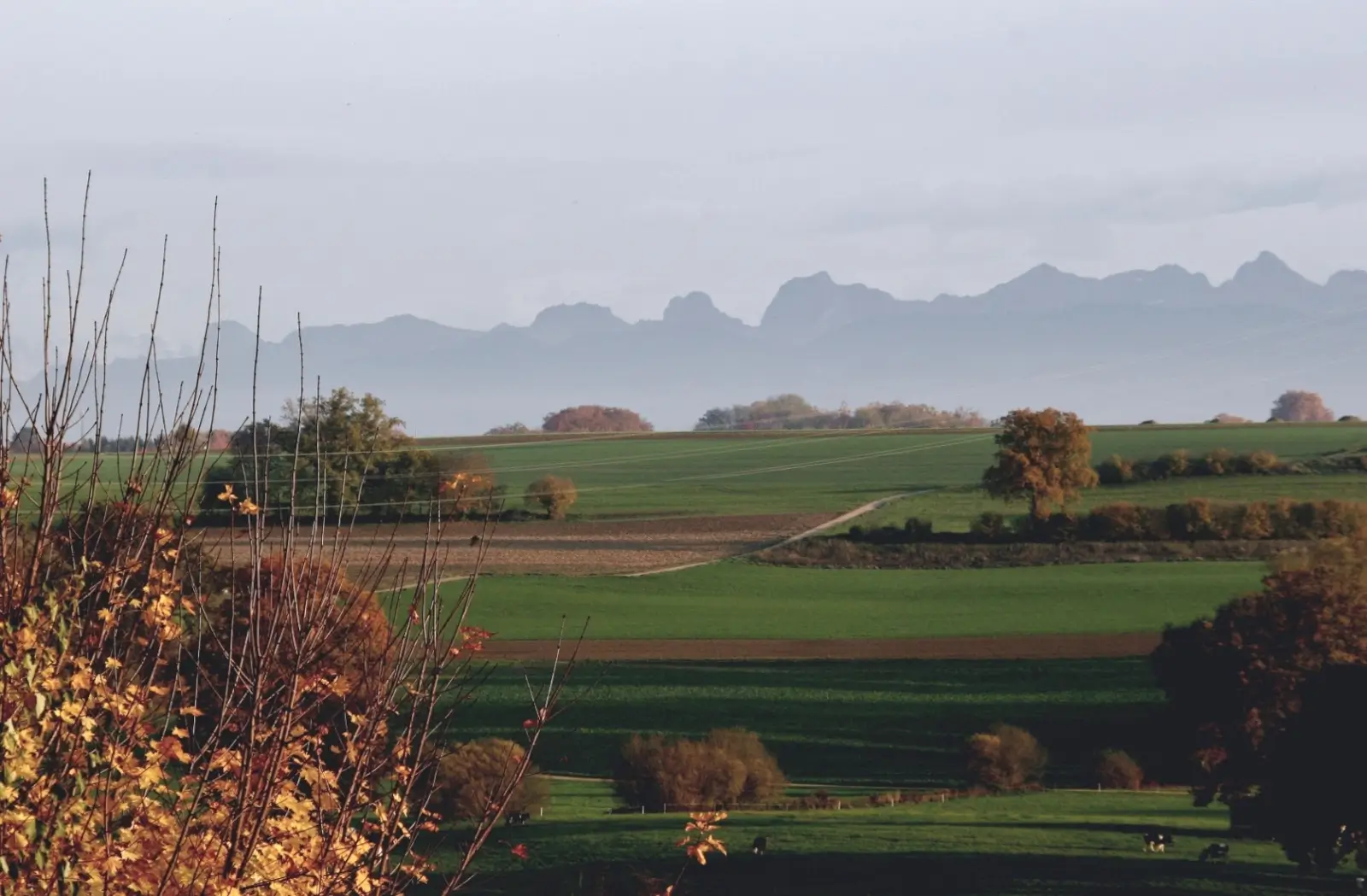 La plaine de la Bibera, avec les Préalpes bernoises en arrière-plan.