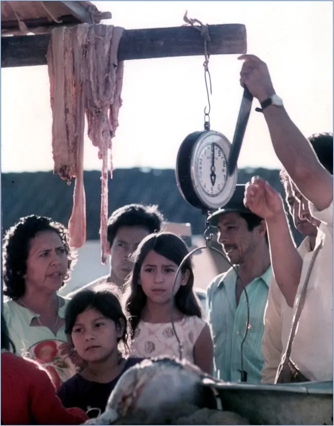 Au marché de Policarpa, un porc a été dépecé. Filet, viande avec graisse ou os, abats, lard, tête, pattes, queue et cuir, tout est à vendre.