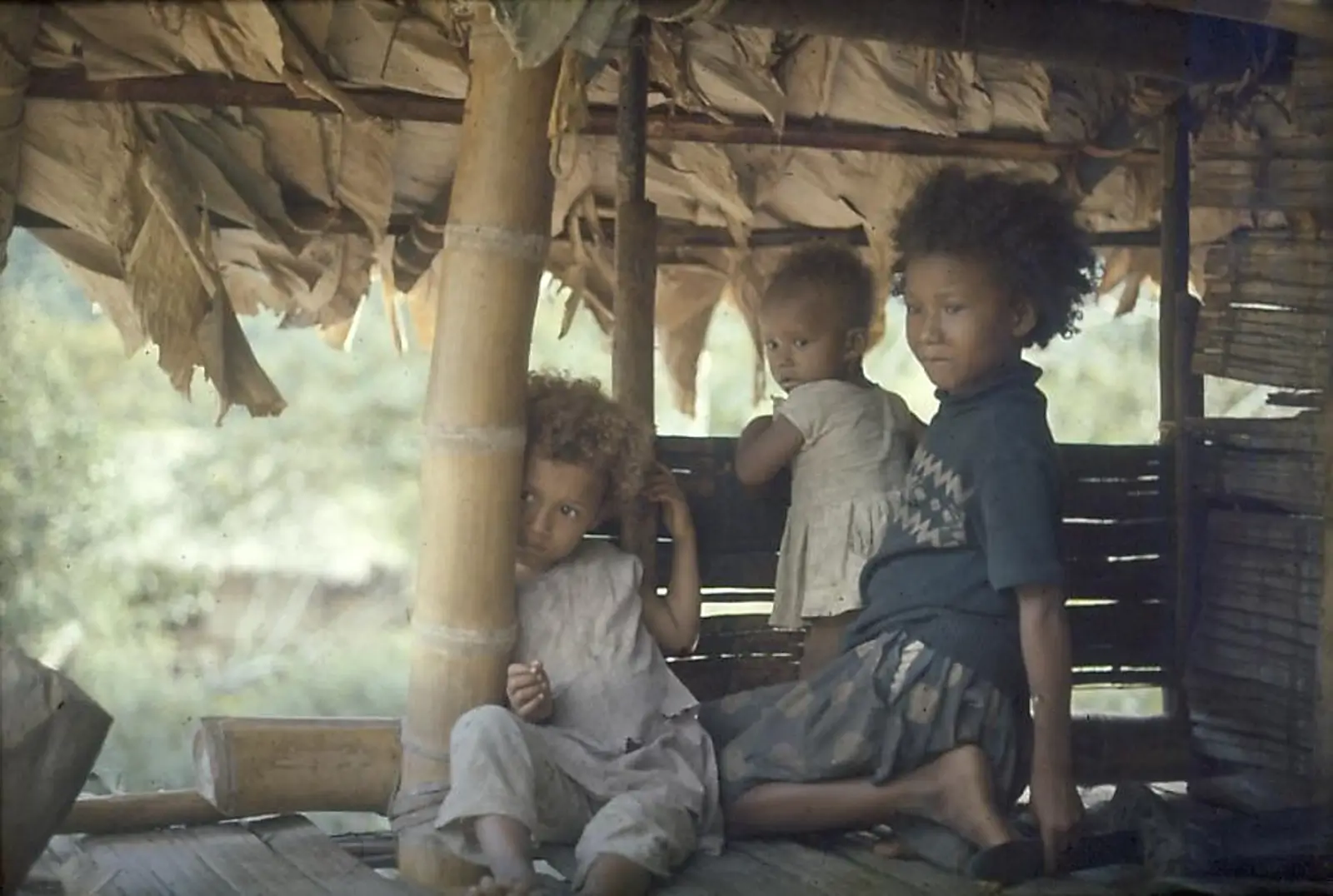 Enfants sur la terrasse d’une hutte, à Sanchez. Plus on se rapproche de la forêt vierge, plus la population a des racines africaines. Il s’agit de descendants plus ou moins directs d’esclaves noirs qui se sont enfuis et se sont établis sur les rives du Patia.