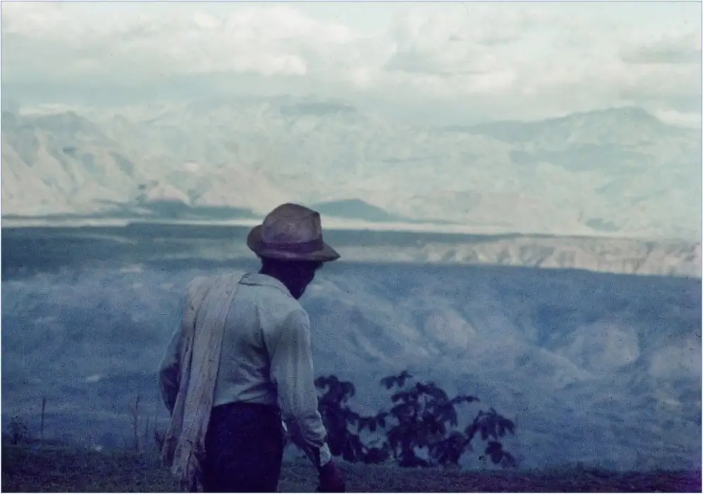 «Hay campesino, qué largo caminar» (paysan, que de chemin à parcourir). D'un jour à l'autre, la vie du paysan colombien, tout particulièrement celui qui possède peu de terres, peut basculer et se convertir en un calvaire.