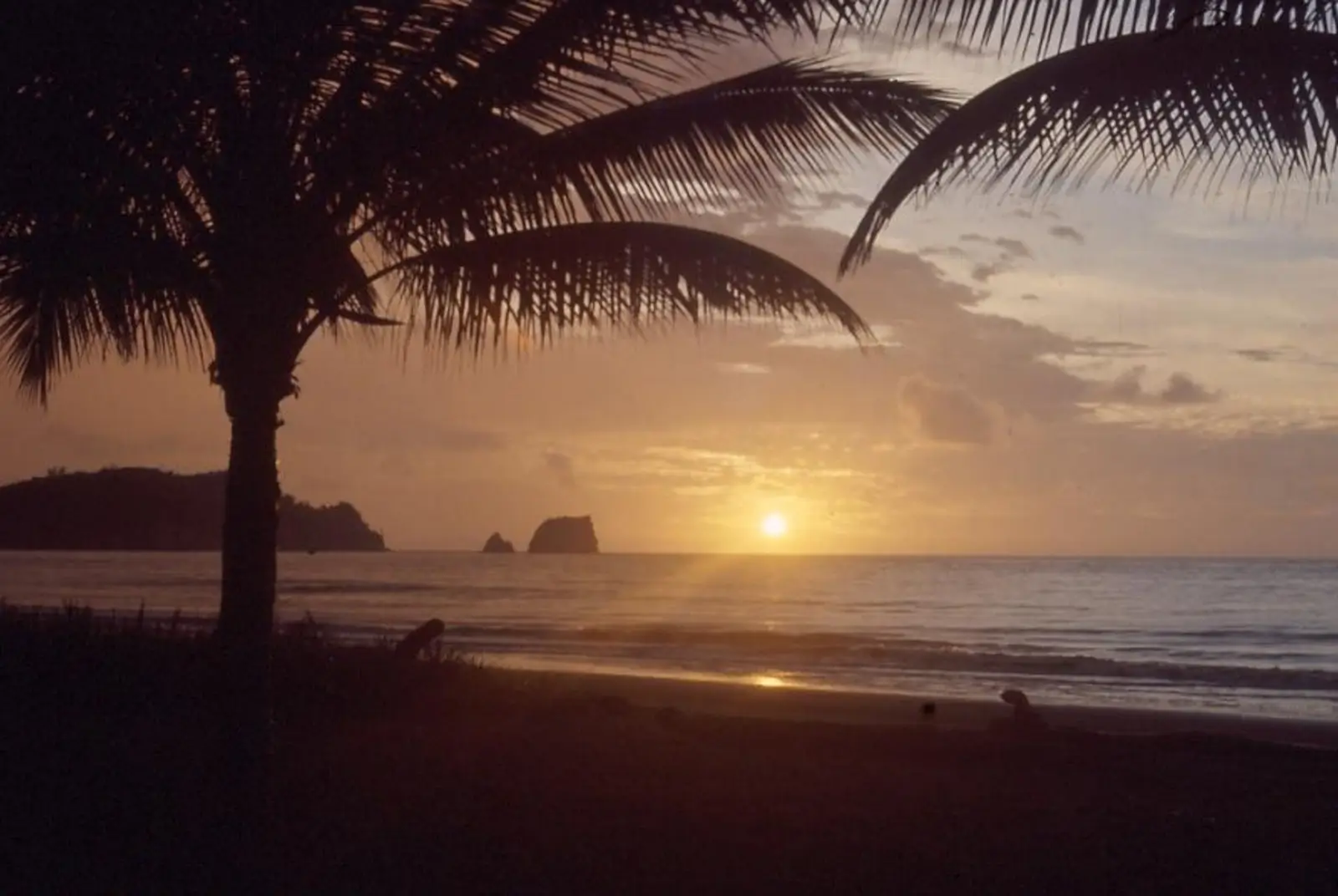 Avec ce superbe coucher de soleil, au bord de la côte pacifique du Sud de la Colombie, je vous propose une lueur d’espoir, en réplique à mes propos quelque peu pessimistes.
