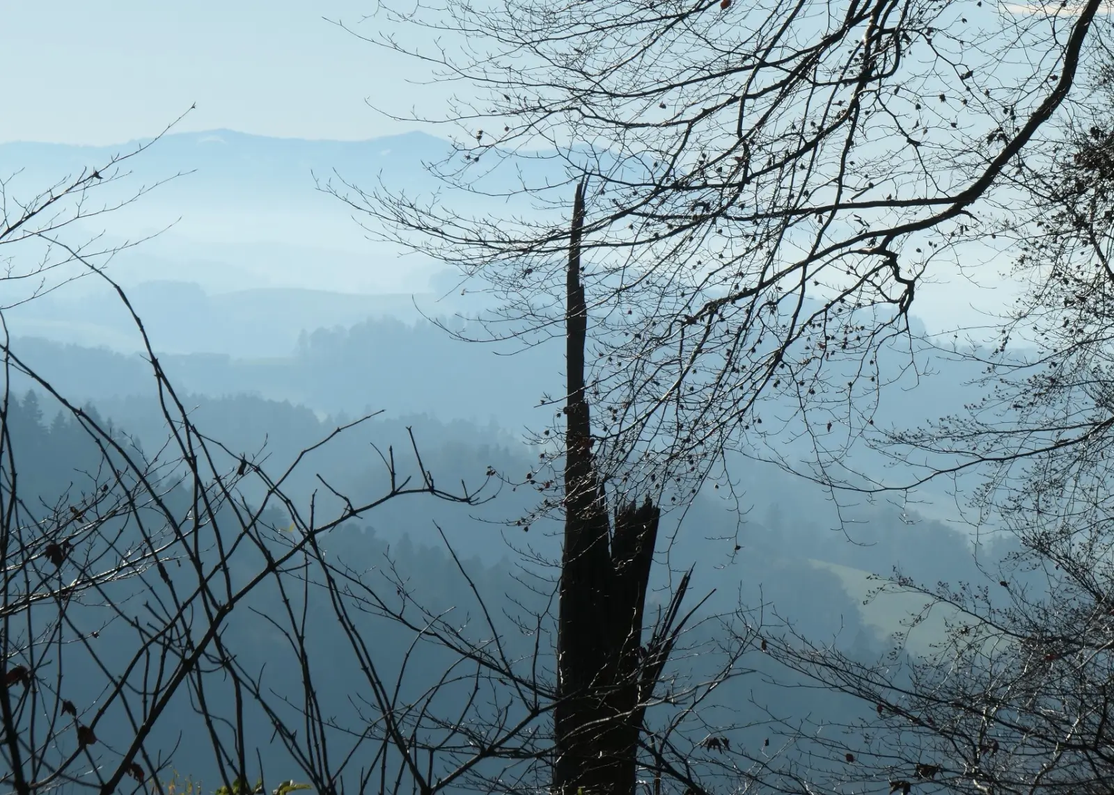 Novembre 2024 : Gurten (BE), novembre 2020