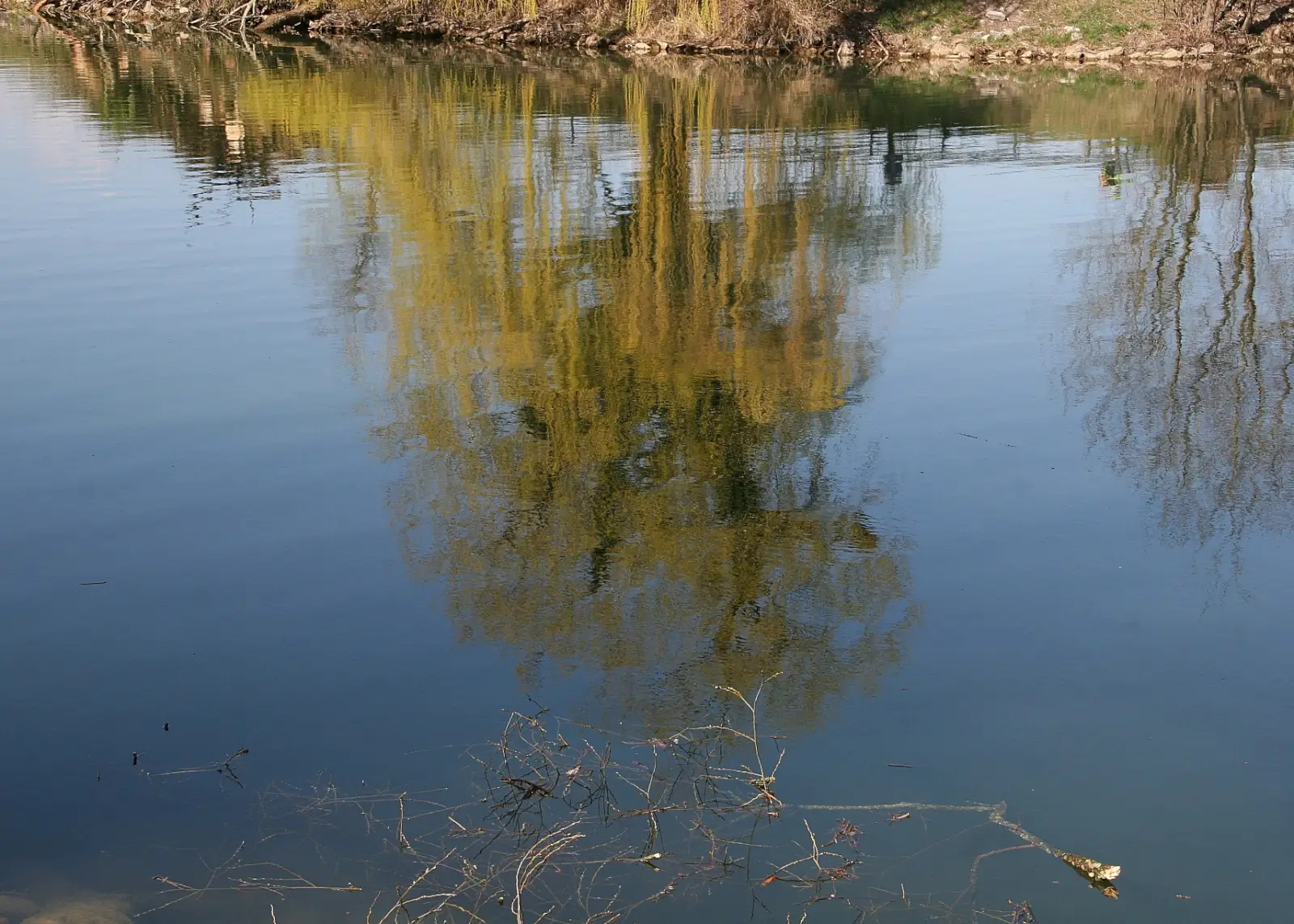 Avril 2024 : Canal de la Thièle (FR), mars 2020