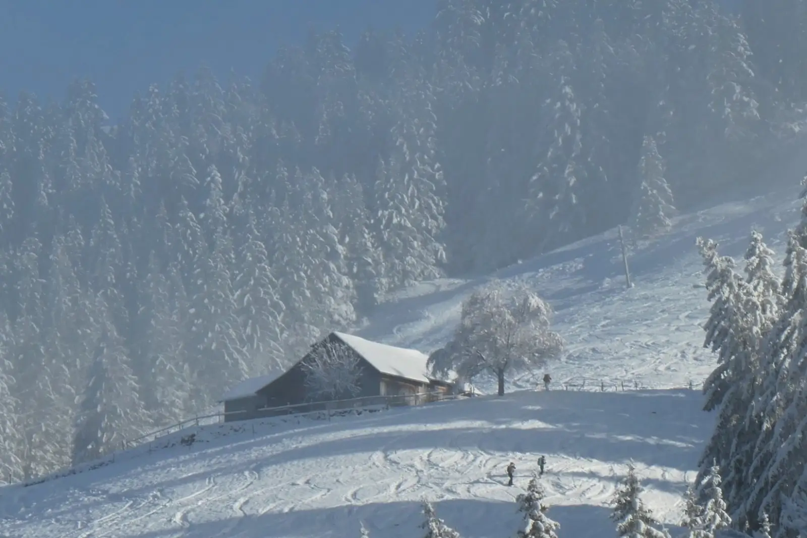 Calendrier 2026 — janvier, Moléson-sur-Gruyère sous la brume