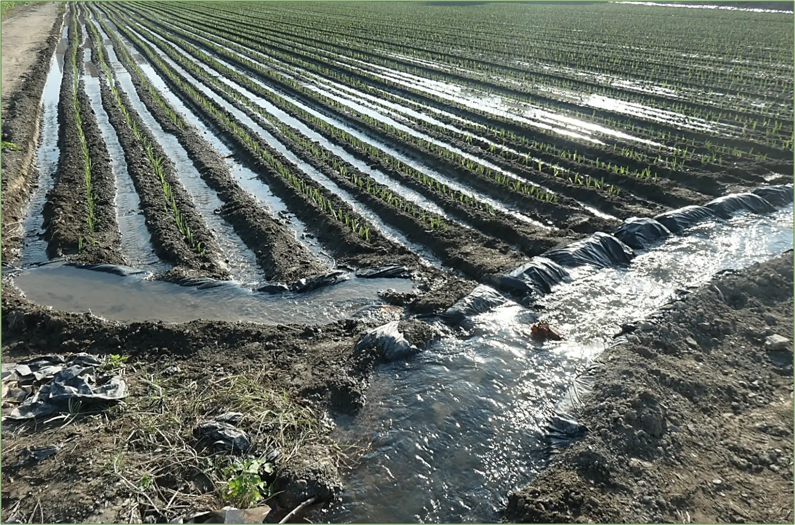 Octobre 2026 : Salobreña, Andalousie (E)