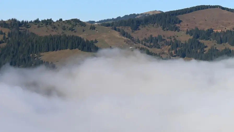 Mer de brouillard entre les collines boisées